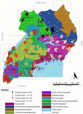Uganda chicken genetic resources: II. genetic diversity and population demographic history inferred from mitochondrial DNA D-loop sequences